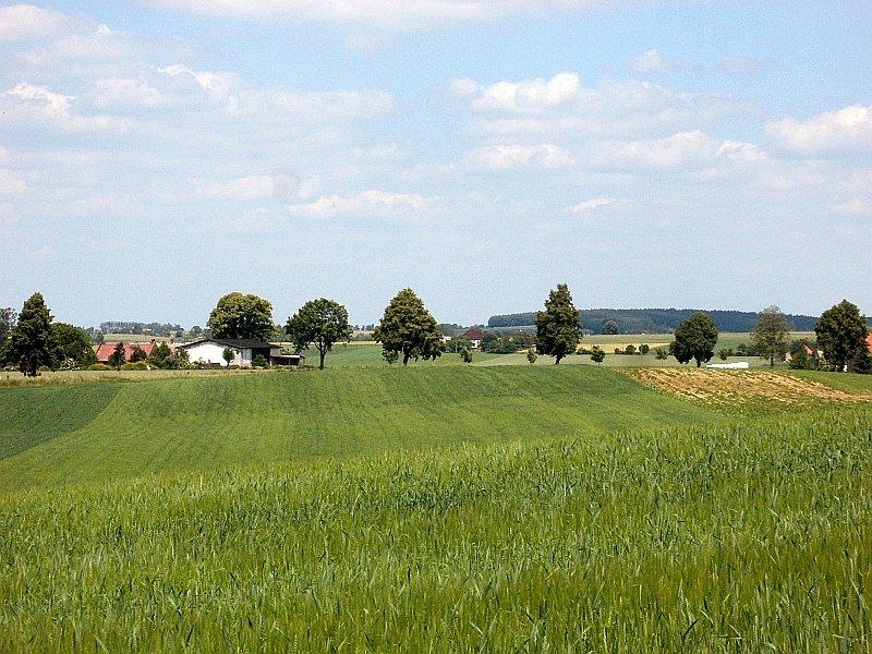 Sierakowski Park Krajobrazowy - takie oto widoczki