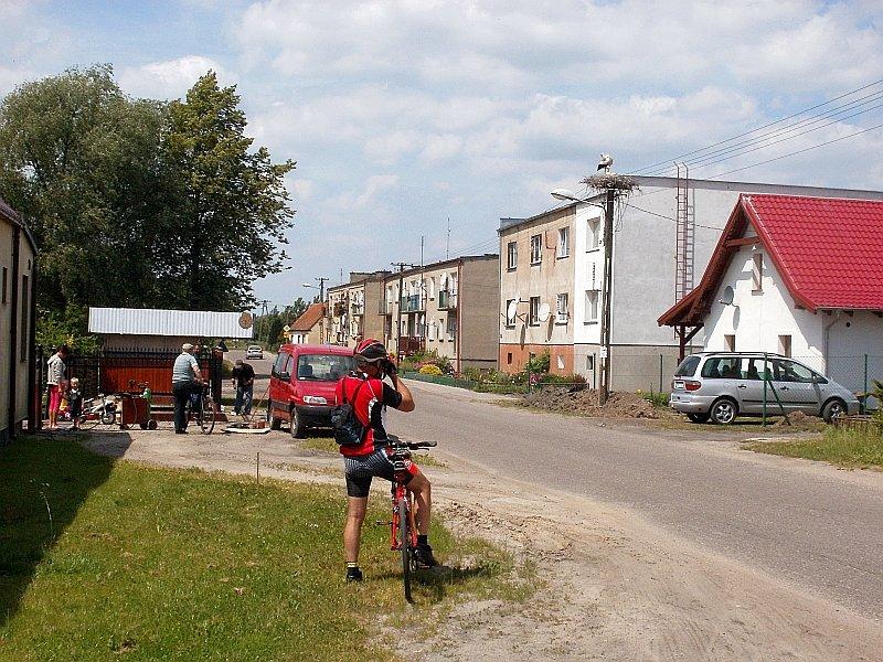 Tata cyka zdjęcia bocianom