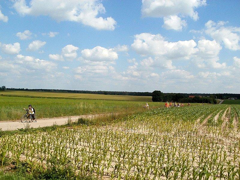 Wielu dziś rowerzystów na trasach