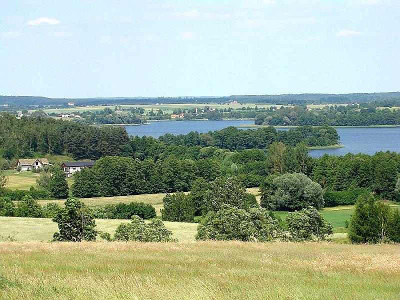 Widoczek nr 5