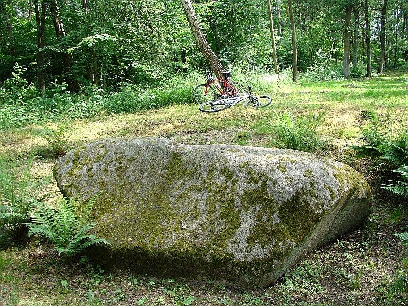 Diabelski Kamień w lutomiu o obwodzie 11m
