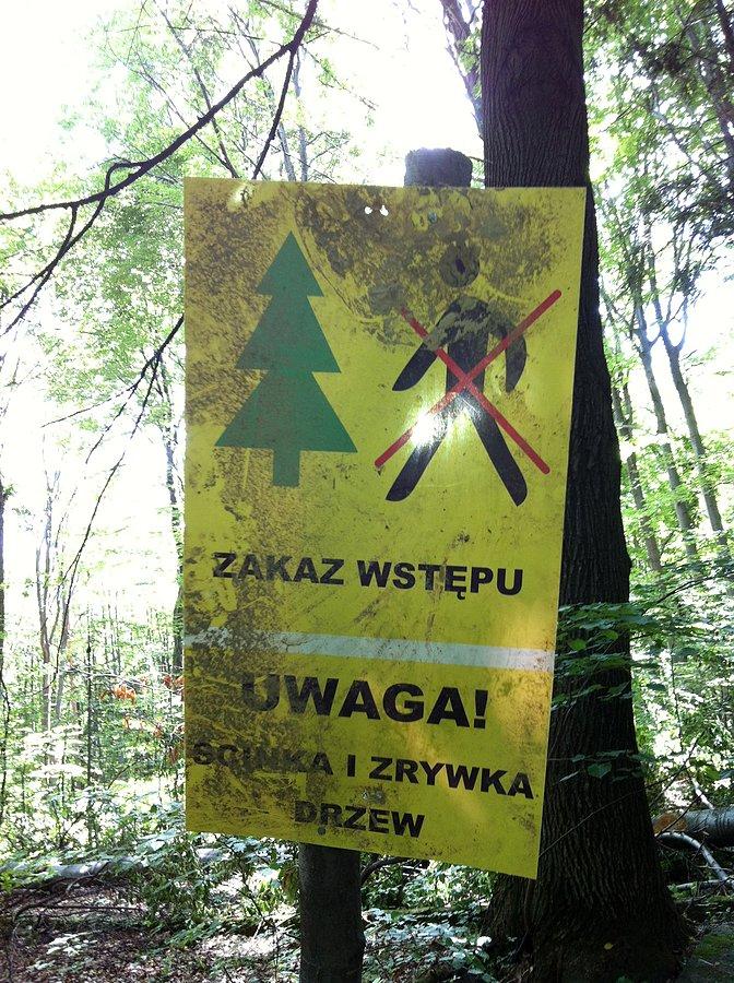 Szalejące wycinki