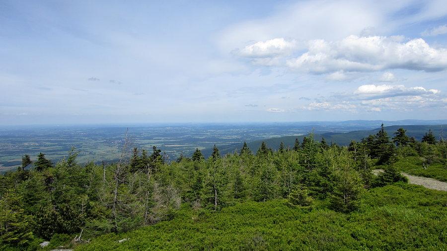Stóg Izerski 1105 m - widok w strone Świeradowa Zdroju