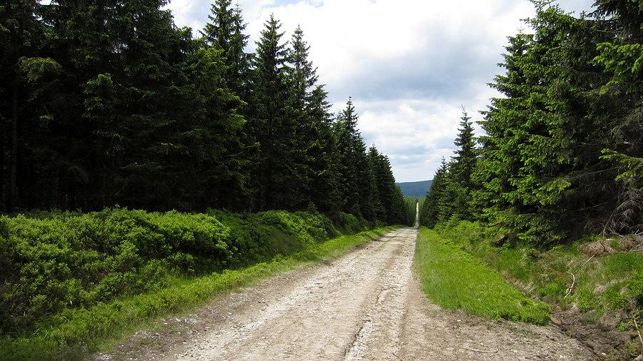 Izery - highway to ... Orle ;)