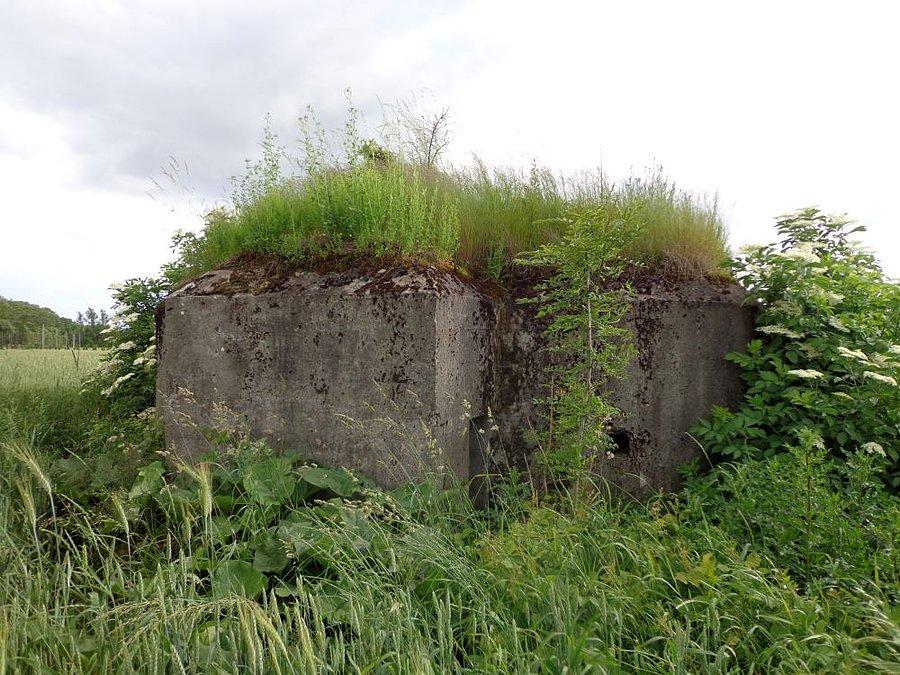 Fort Pułtuski
