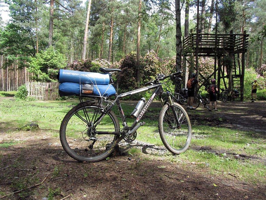 Tego weekendu flagowiec robił za wielbłąda