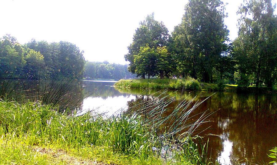 Świerklaniec Park