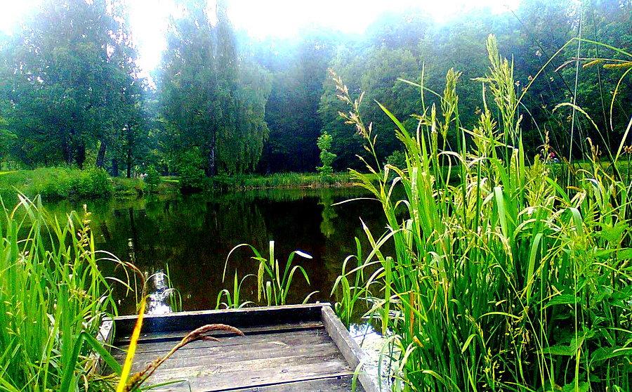 Świerklaniec Park
