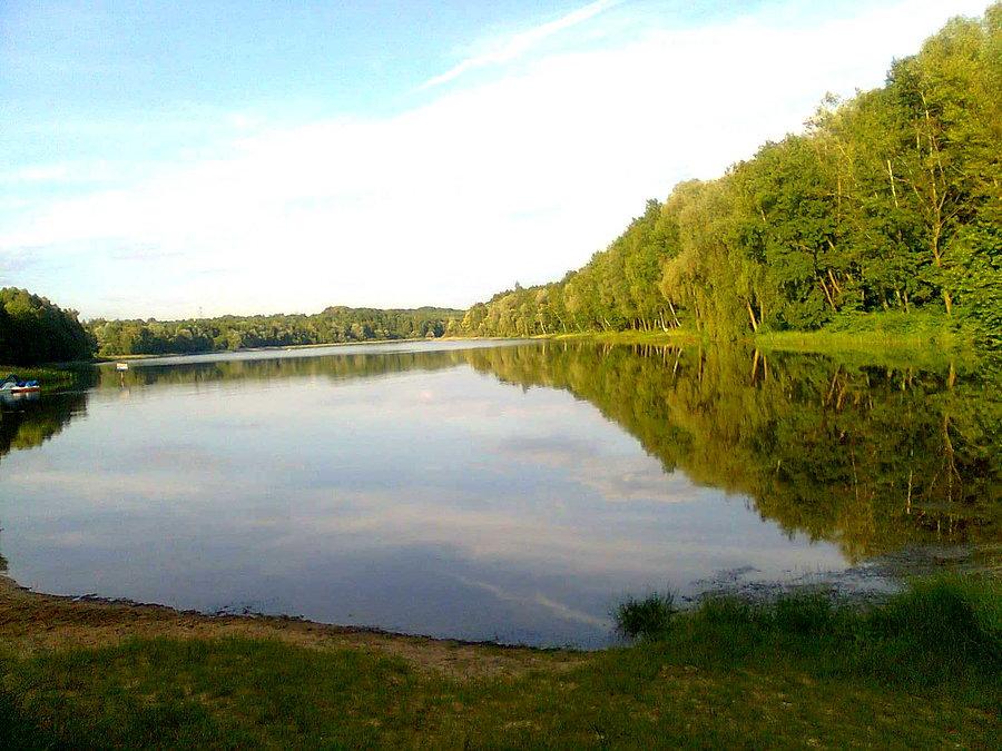 Rogoźnik II