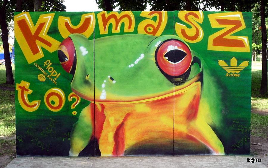 Bitwa Graffiti, Będzin 2013