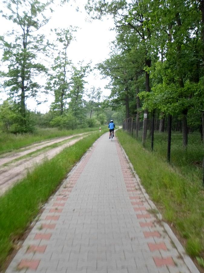 Ścieżka rowerowa w Gołuchowie