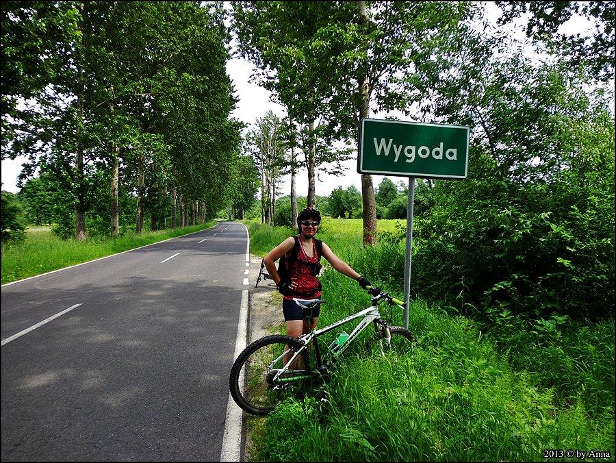 Wygoda Przygoda!