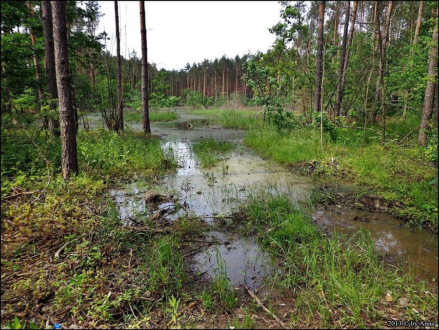 Trochę pozalewało