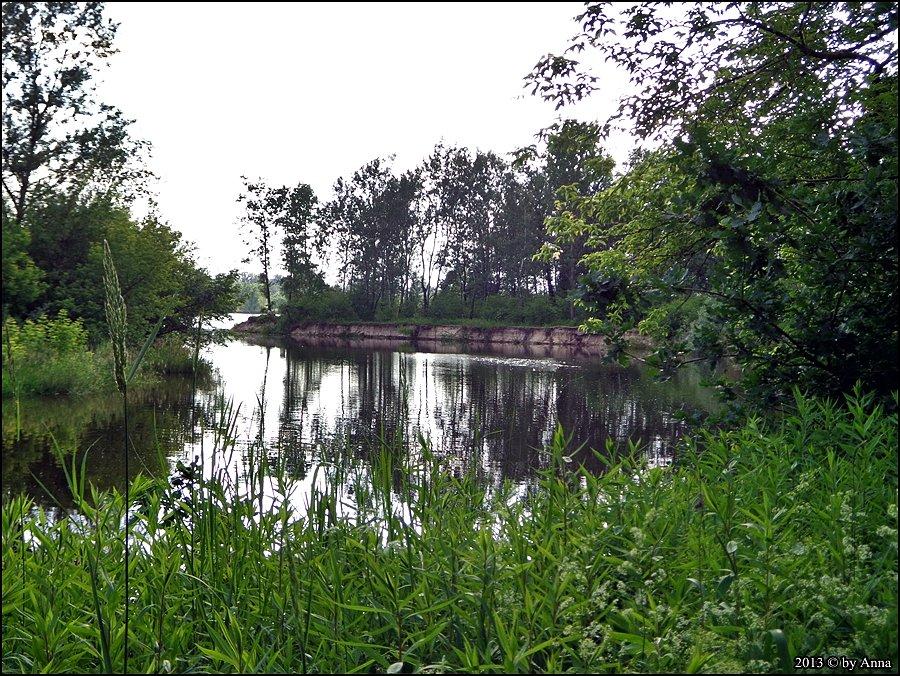 Świder wpada do Wisły