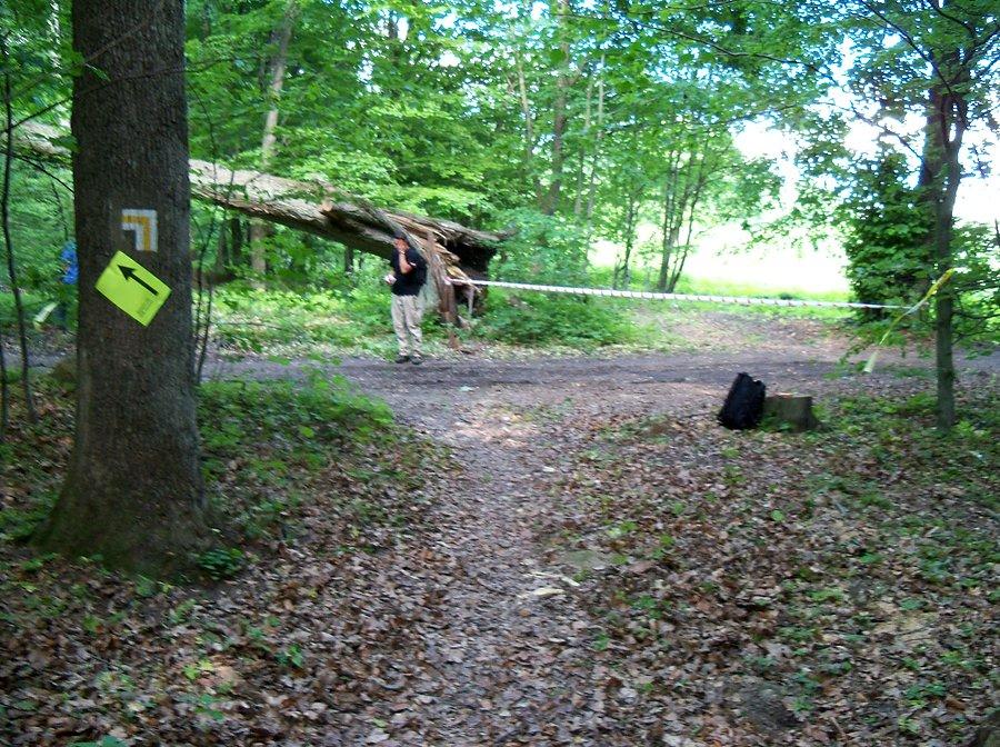 Znakowanie trasy Bażantarnia MTB Maratonu