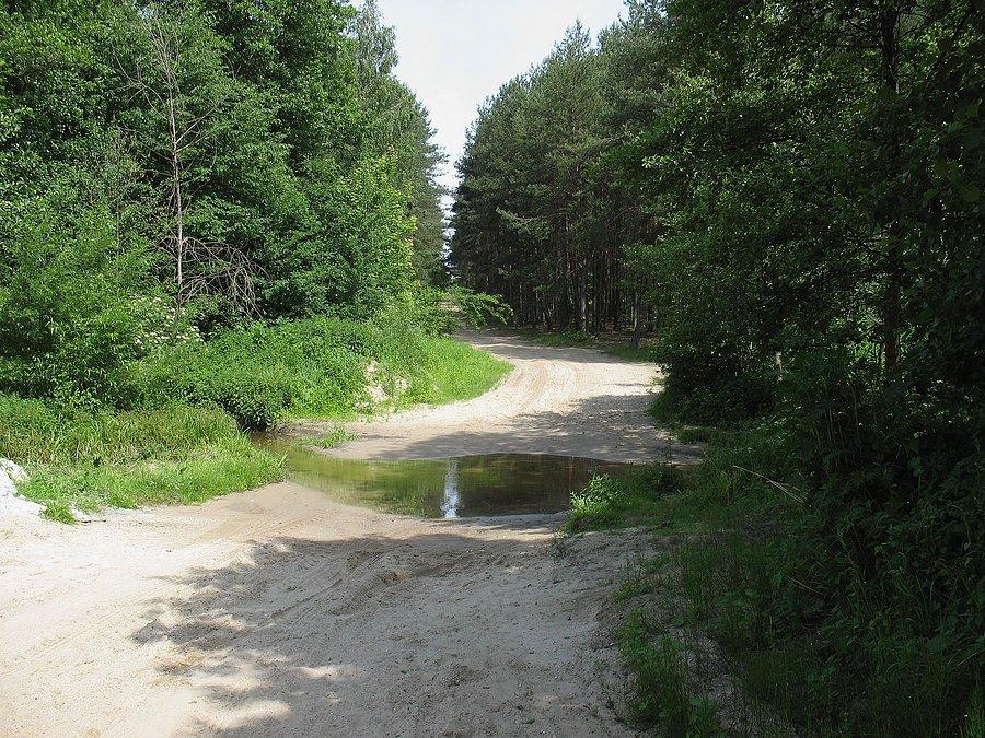 Tarczynka w pobliżu Jeżewic