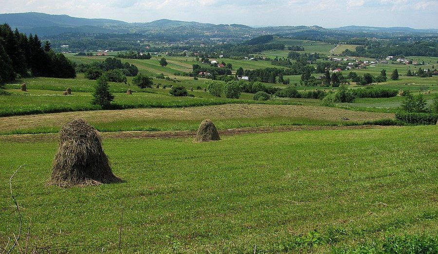 Krajobray niskobeskidzkie