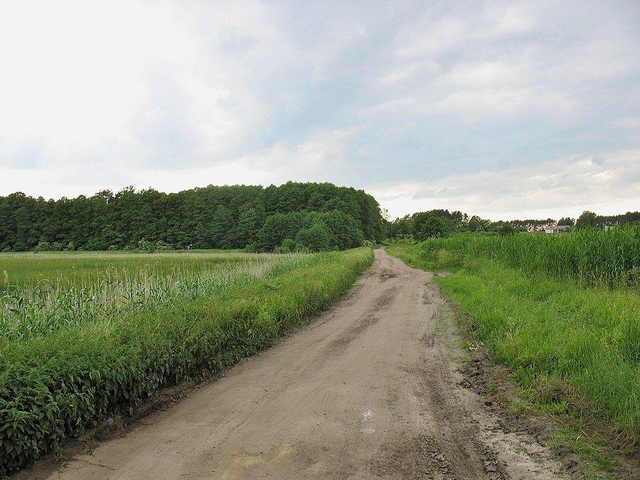 Grobla na stawach w Koceranach