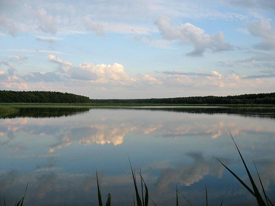 Stawy w Żabieńcu