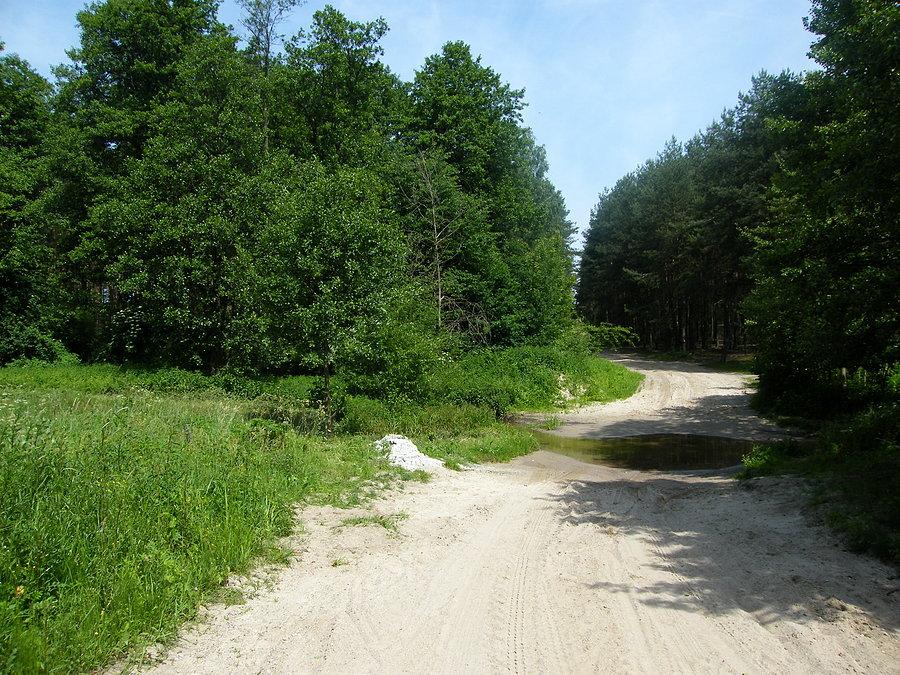 To nie kałuża, to rzeczka;)