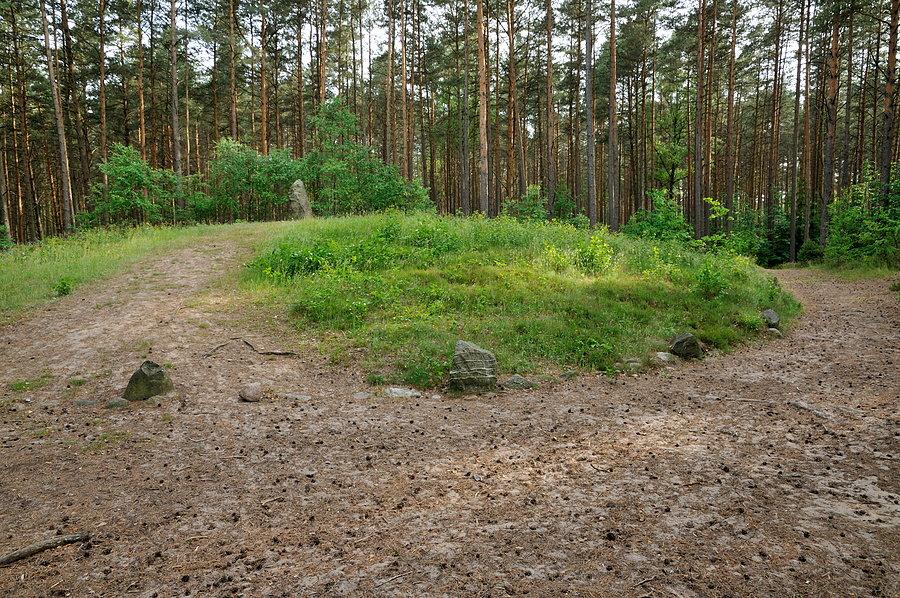 Kamienne kręgi koło Leśna