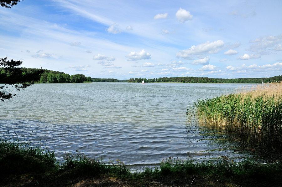 Ostatnie spojrzenie na Wdzydze