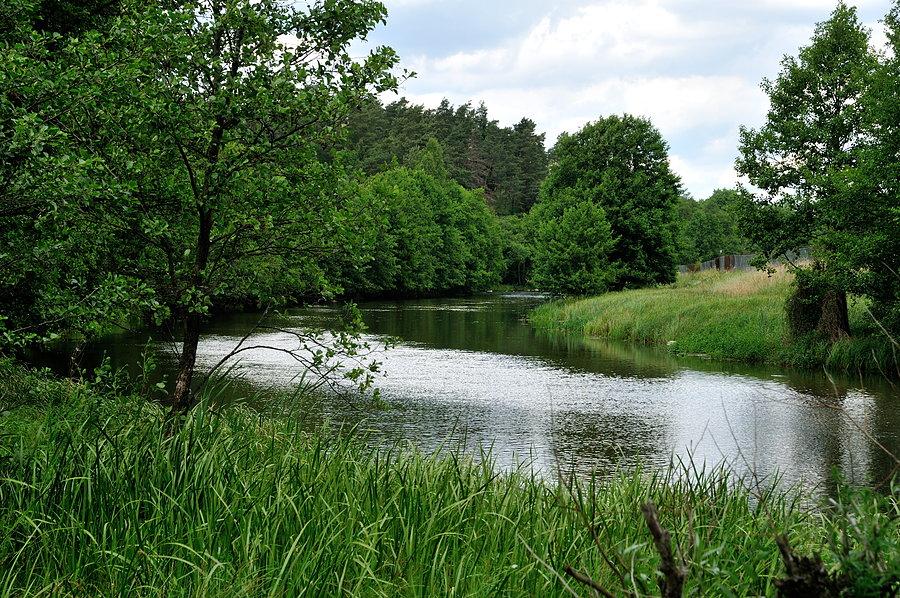 Wda koło Wiecka