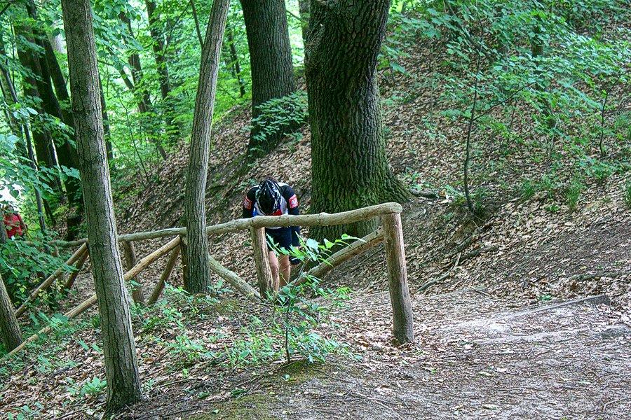 Wspinamy się do Wieży Bismarcka