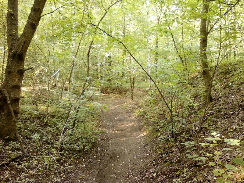Singletrack na Brusie
