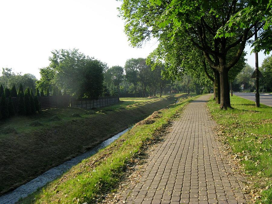 Tychy ścieżki rowerowe pięknie!