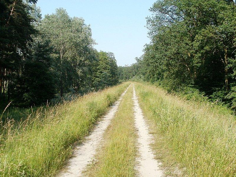 Jadąc wałem przy Warcie we wsi Dębno