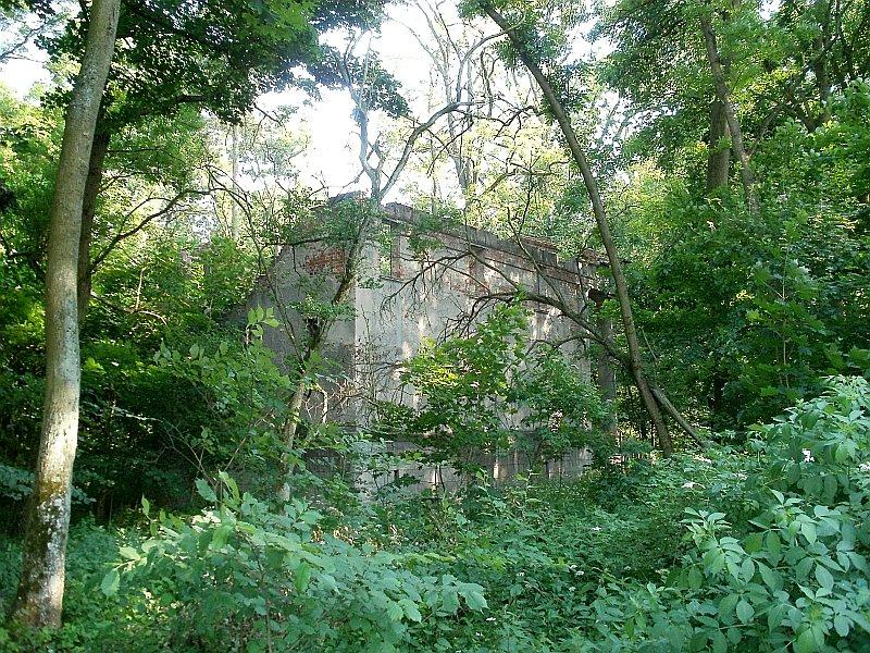 Dębno - ruiny starego kościoła