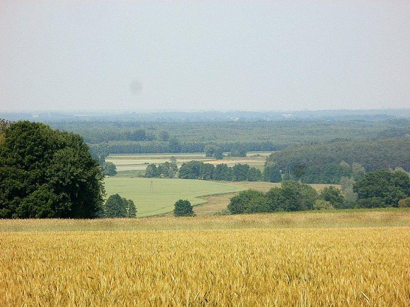 Widok z Łysej Góry 160m.n.p.m