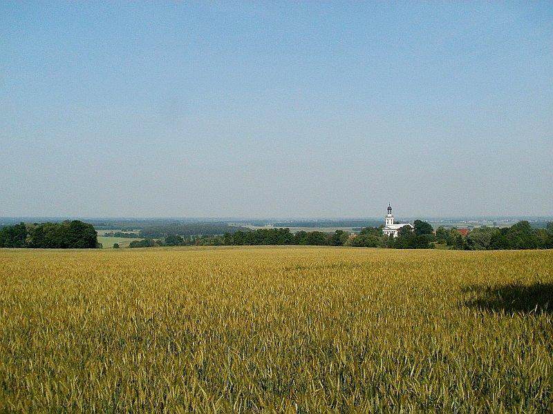 Widok z Łysej Góry 2