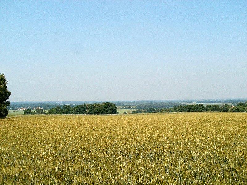 Widok z Łysej Góry 3