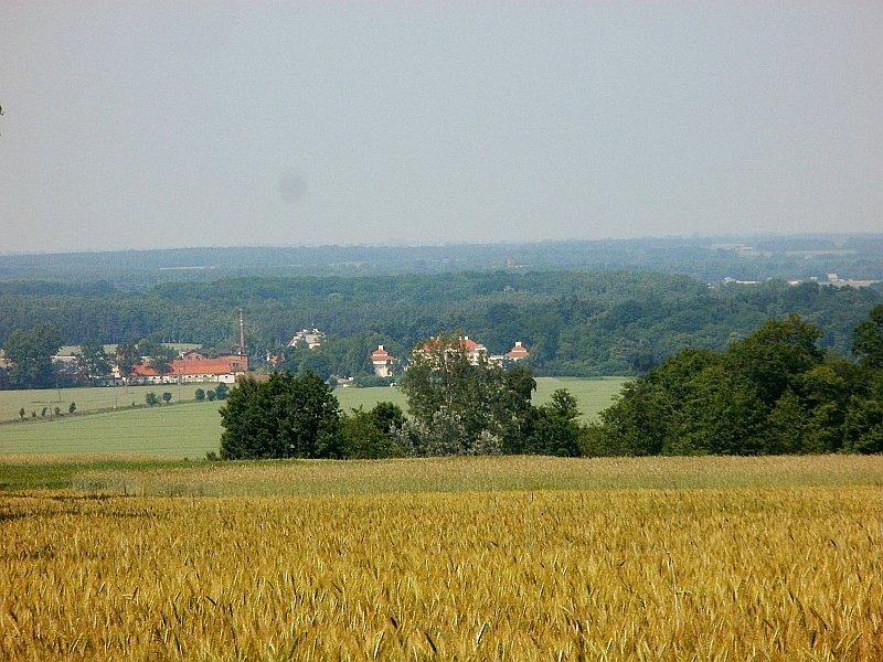 Widok z Łysej Góry