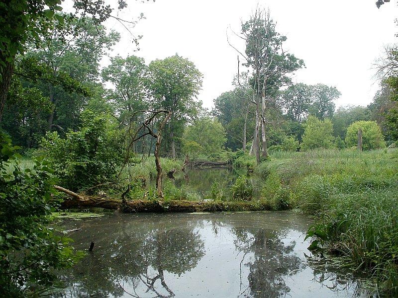 Park w Miłosławiu