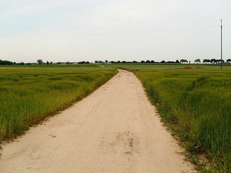 Terenowo do Kostrzyna