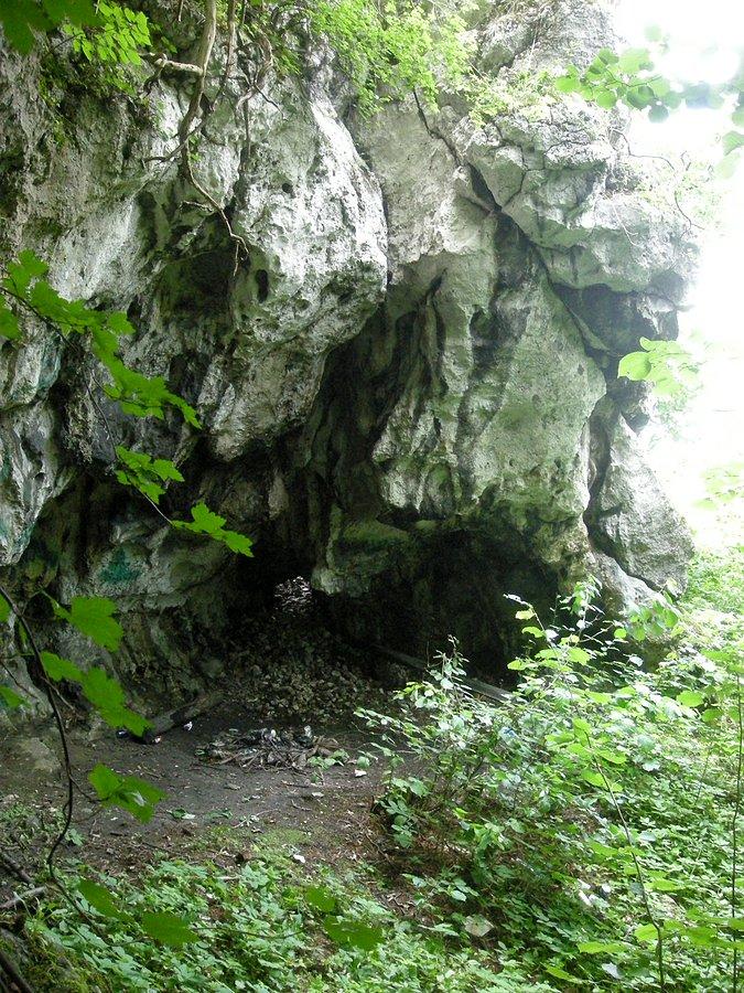 Schronisko przy Dziurawej