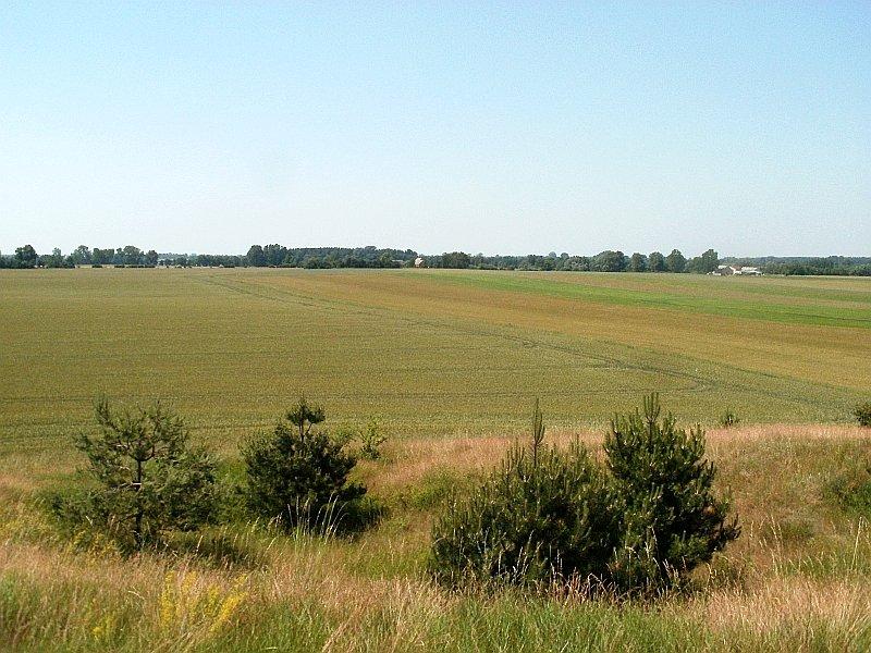 Widok ze wzgórza waliszewskiego na okolice Waliszewa