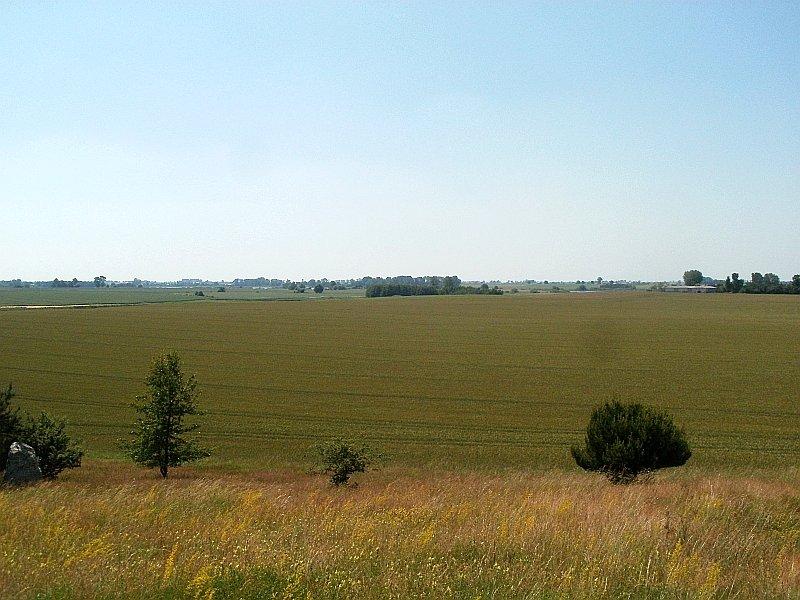 Widok ze wzgórza waliszewskiego na okoliczne pola