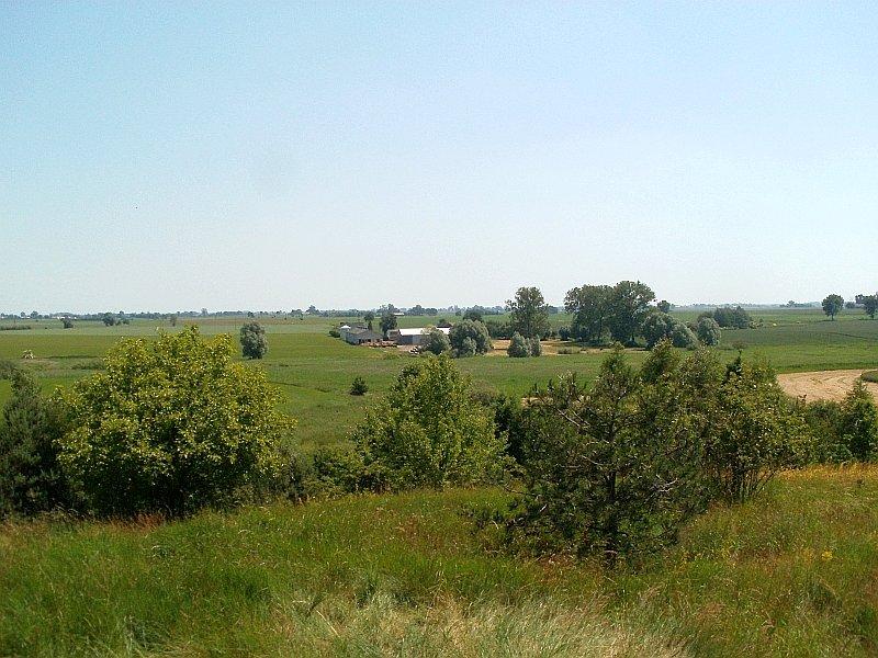 Widok ze wzgórza waliszewskiego w kierunku Komorowa