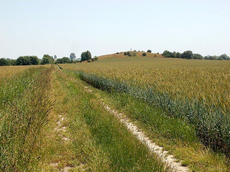 Ścieżka polna w kierunku wzgórza waliszewskiego