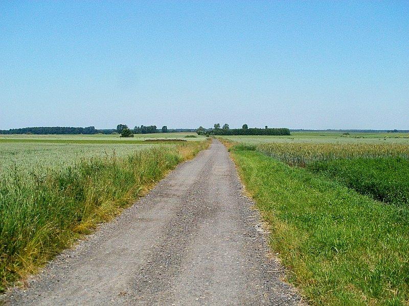 Jazda terenowa po lednickich drogach