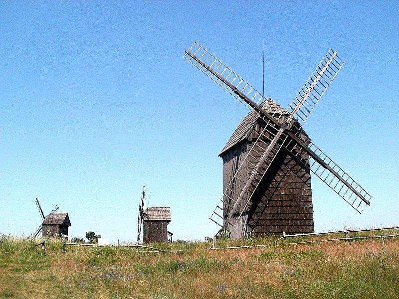 Wiatraki koźlaki w Lednogórze