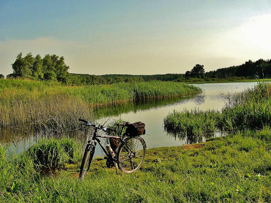Popołudniowy wypad rowerowy. Uroki natury