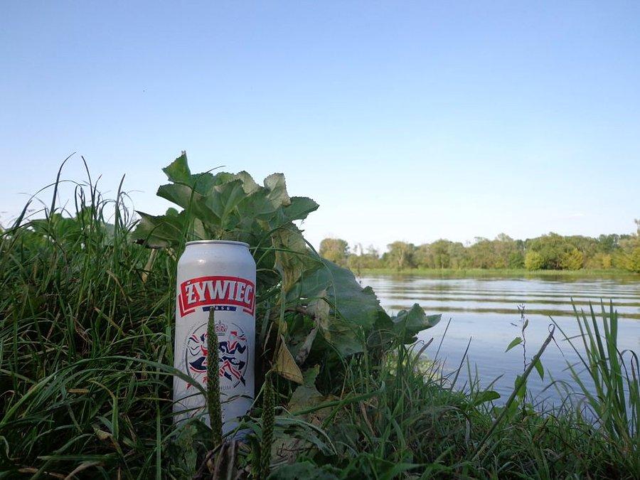 Żywiec nad Narwią