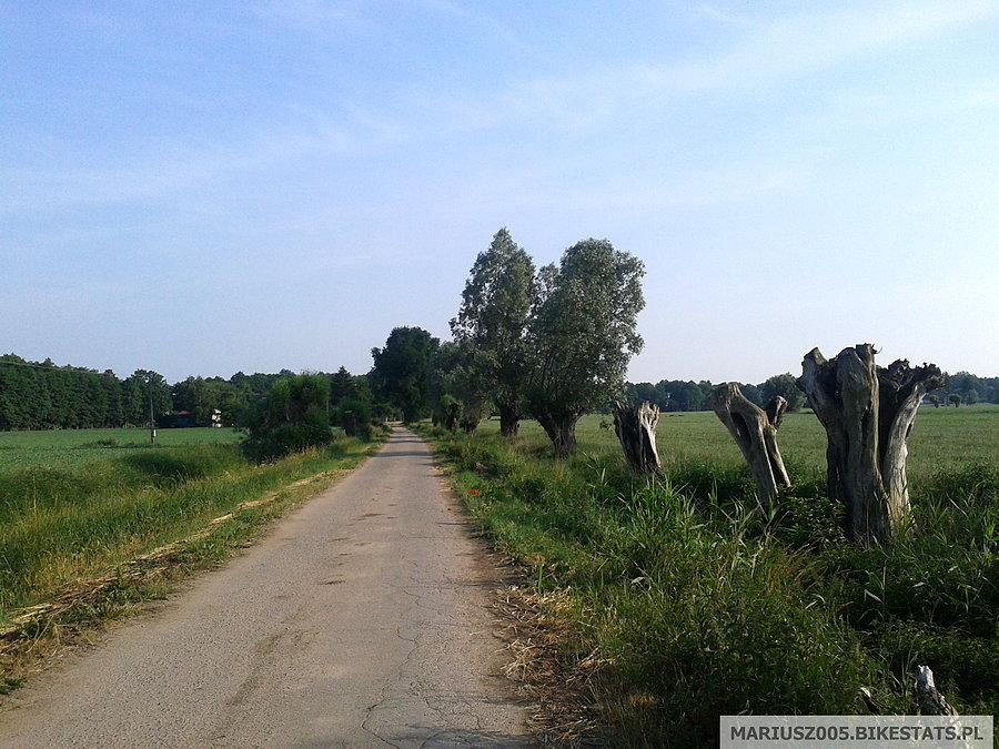 W okolicach Elbląga
