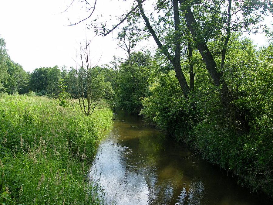 Jeziorka