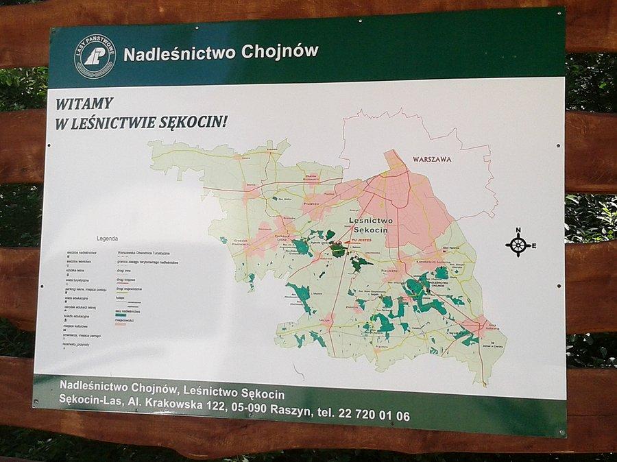 Tablica informacyjna w Sękocinie - Las